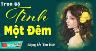 Tình một đêm