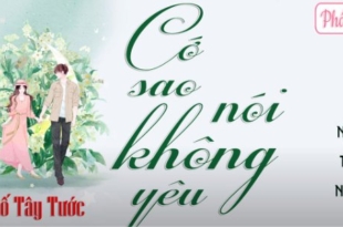 Cớ Sao Nói Không Yêu