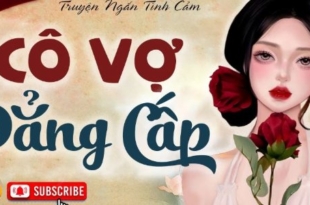 Cô Vợ Đẳng Cấp