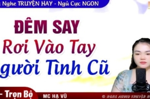 Đêm Say Rơi Vào Tay Người Tình Cũ